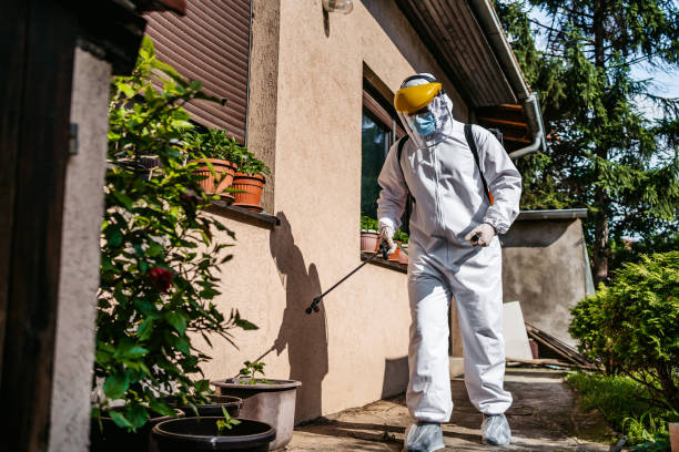 Best Residential Pest Control  in Greenville, MI