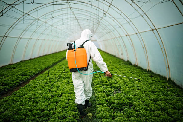 Best Pest Inspection Near Me  in Greenville, MI