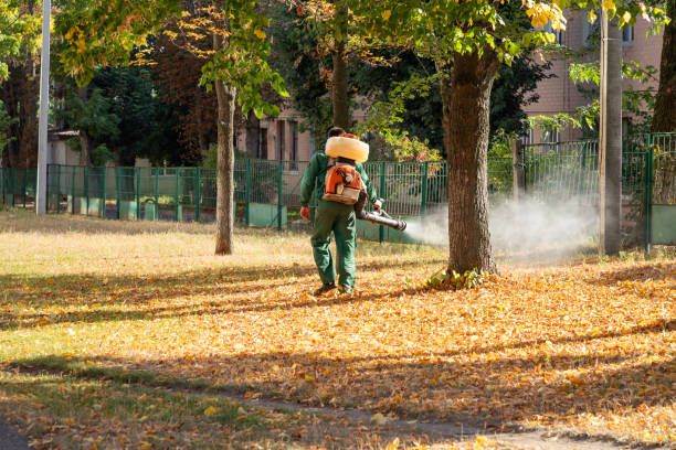 Best Pest Prevention Services  in Greenville, MI