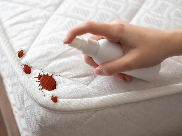 Best Commercial Pest Control Services  in Greenville, MI