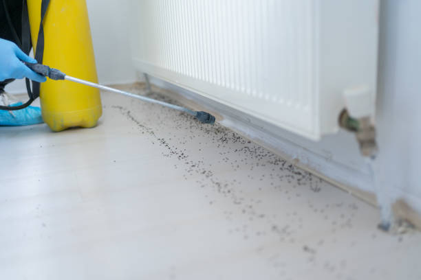 Best Best Pest Control Companies  in Greenville, MI