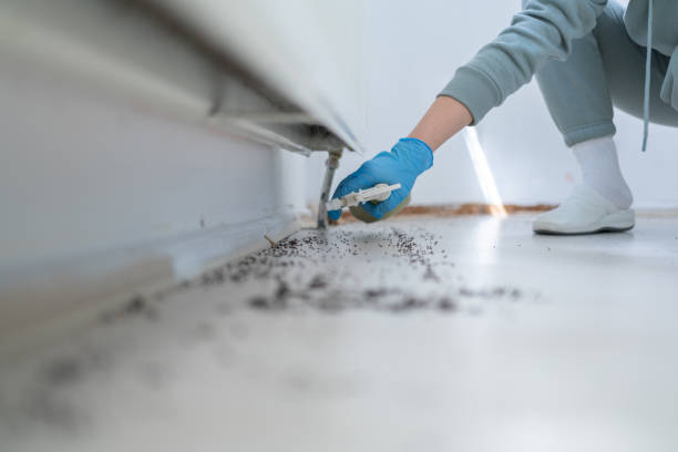 Best Rodent Control Near Me  in Greenville, MI